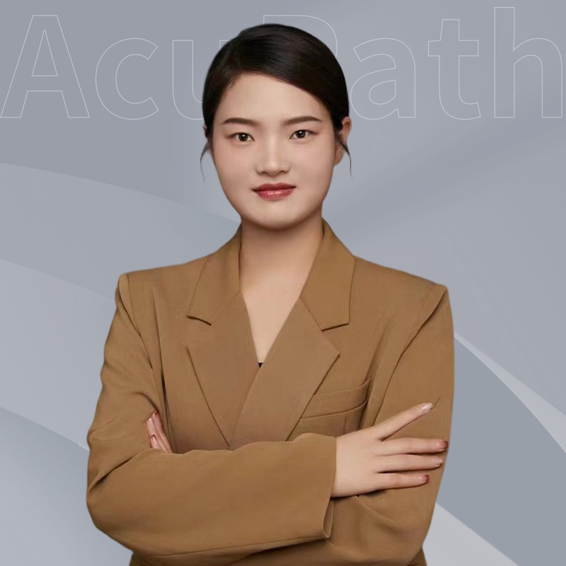 材料与表达支持方向展示